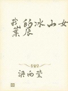 我的冰山女总裁叶辰封面