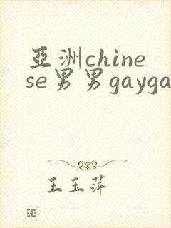 亚洲chinese男男gaygay网站
