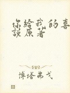 你给我的喜欢小说原著