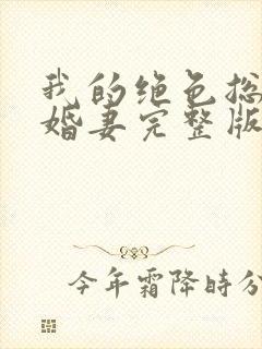 我的绝色总裁未婚妻完整版