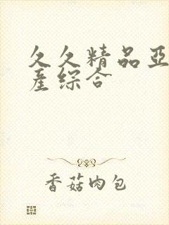 久久精品亚洲国产综合