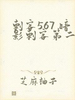刺客567 暗影刺客第二季免费观看
