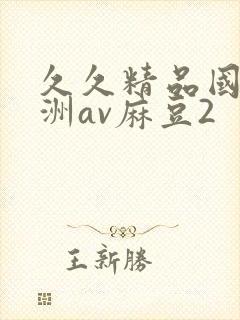 久久精品国产亚洲av麻豆2封面