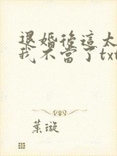 退婚后这太子妃我不当了txt下载