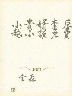 小贵婿李辰安穿越小说免费阅读