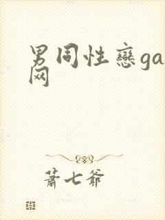 男同性恋gay网
