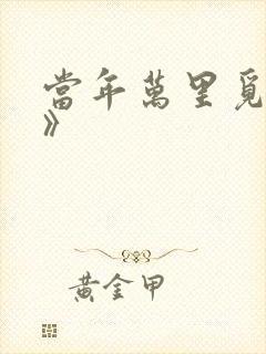 当年万里觅封侯》