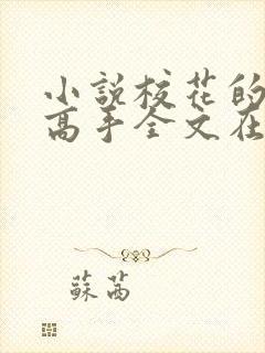 小说校花的贴身高手全文在线阅读