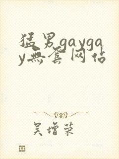 猛男gaygay无套网站