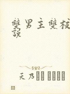 双男主双校霸小说封面