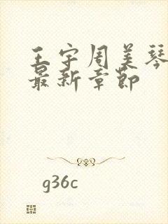 王宇周美琴小说最新章节