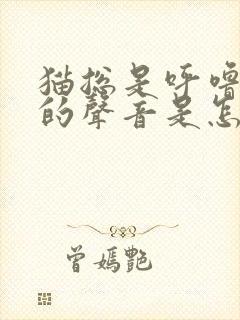 猫总是呼噜呼噜的声音是怎么回事