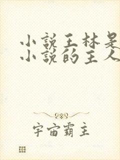 小说王林是哪本小说的主人公