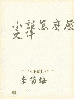 小说怎么压缩成文件