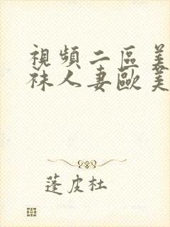 视频二区美腿丝袜人妻欧美