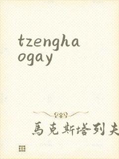 tzenghaogay封面
