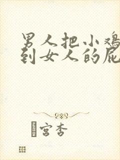 男人把小鸡鸡插到女人的屁股里