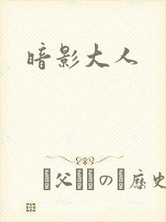 暗影大人封面
