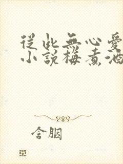 从此无心爱良夜小说梅煮酒