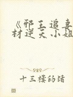 《邪王追妻:废材逆天小姐》