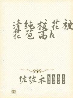 清纯校花被迫开花苞高h