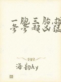 一胞三胎,总裁爹爹超凶猛小说