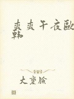 爽爽午夜欧美日韩