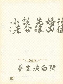 小说 先婚后爱:老公很凶猛封面