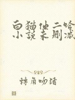 白猫他二哈师尊小说未删减