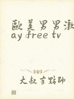 欧美男男激情gay free tv