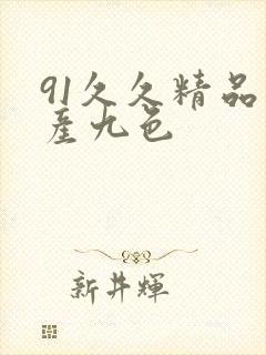 91久久精品国产九色