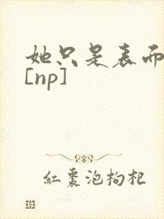 她只是表面清纯[np]