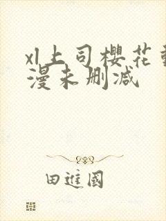 xl上司樱花动漫未删减