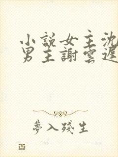 小说女主沈晚梨男主谢云迟的小说