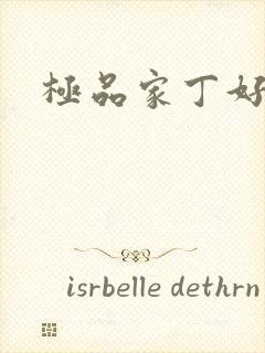 极品家丁好看吗