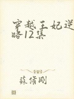 穿越王妃逆袭攻略12集封面