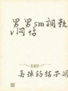 男男sm调教gv网站
