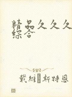 精品久久久国产综合