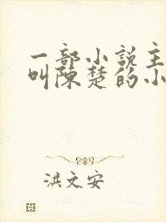 一部小说主人公叫陈楚的小说封面