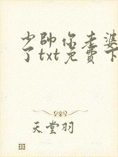 少帅你老婆又跑了txt免费下载