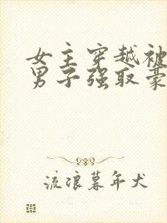 女主穿越被几个男子强取豪夺