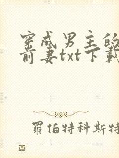 穿成男主的炮灰前妻txt下载封面