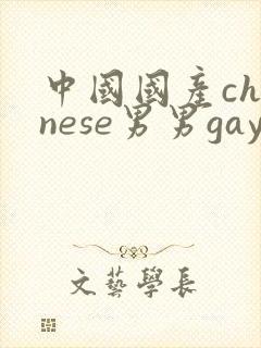 中国国产chinese男男gay gay网站
