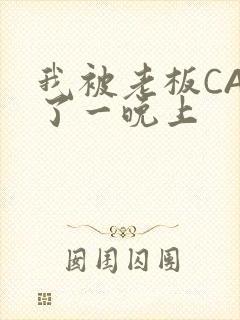 我被老板CAO了一晚上