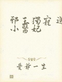 邪王独宠 逆天小医妃