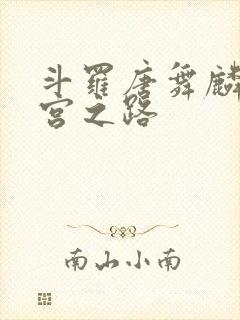 斗罗唐舞麟的后宫之路封面