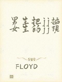 男生把jj插入女生的jj视频