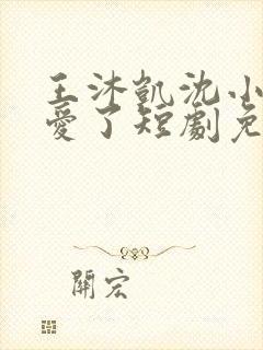 王沐凯沈小姐不爱了短剧免费播放