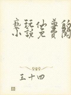 亵玩仙尊的道侣小说免费阅读封面