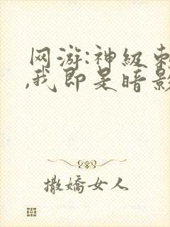 网游:神级刺客,我即是暗影txt封面